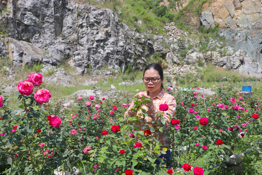 Chị Hoàng Thị Hiếu (thị trấn Kbang, huyện Kbang) thu nhập 20 triệu đồng/tháng từ kinh doanh hoa hồng. Ảnh: An Phát