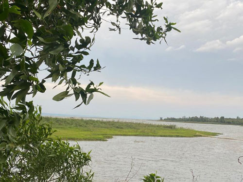 Đất ven hồ đang được lùng mua để làm farmstay