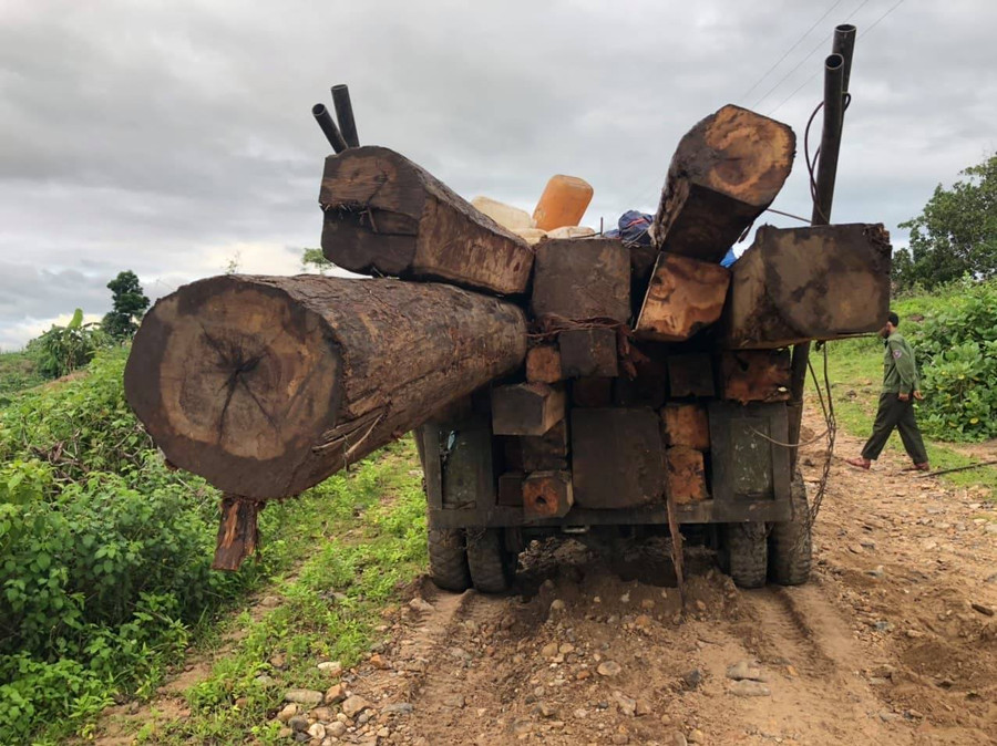  Xe độ chế và số gỗ vi phạm bị thu giữ. Ảnh: Cúc Phương