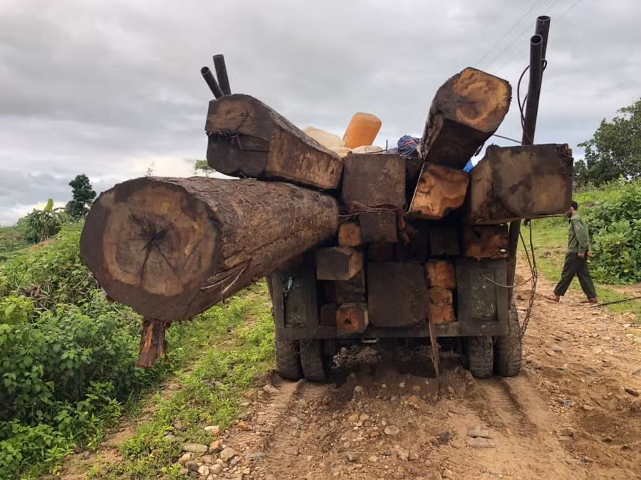  Xe độ chế và số gỗ vi phạm bị thu giữ. Ảnh: Cúc Phương