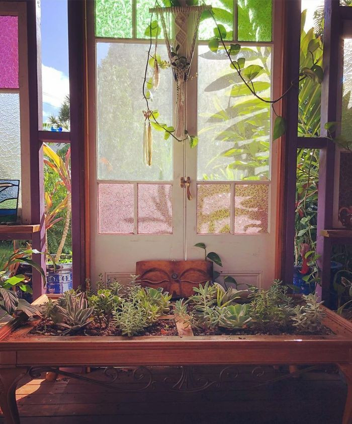 Không gian ngôi nhà của bạn sẽ có thêm nhiều màu sắc cùng với chất lượng không khí được cải thiện. Không gian ngôi nhà của bạn sẽ có thêm nhiều màu sắc cùng với chất lượng không khí được cải thiện.