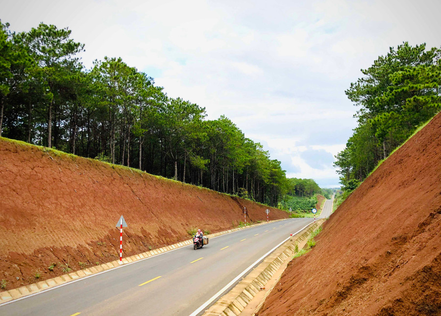 Một đoạn đường xuyên giữa đồi thông trên tuyến đường tránh Pleiku (đoạn qua xã Gào, TP. Pleiku). Ảnh: Lê Hòa Một đoạn đường xuyên giữa đồi thông trên tuyến đường tránh Pleiku (đoạn qua xã Gào, TP. Pleiku). Ảnh: Lê Hòa