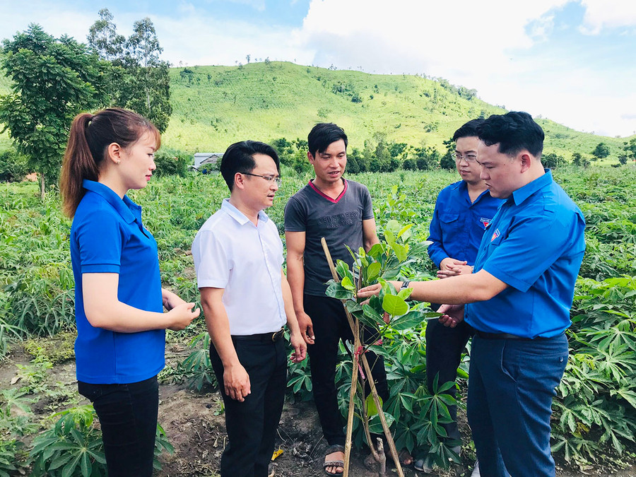 Tặng mô hình cây ăn trái cho hộ thanh niên có hoàn cảnh khó khăn. Ảnh: P.L