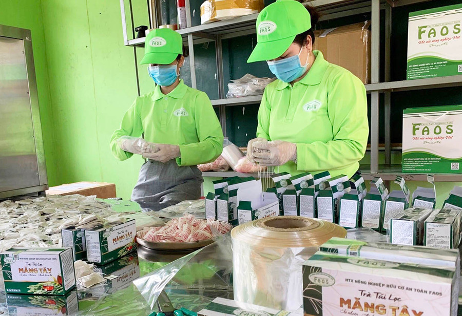 Đóng hộp sản phẩm trà túi lọc tại Hợp tác xã Nông nghiệp Hữu cơ an toàn FAOS (xã Ia Rong, huyện Chư Pưh). Ảnh: Vũ Thảo Đóng hộp sản phẩm trà túi lọc tại Hợp tác xã Nông nghiệp Hữu cơ an toàn FAOS (xã Ia Rong, huyện Chư Pưh). Ảnh: V.T