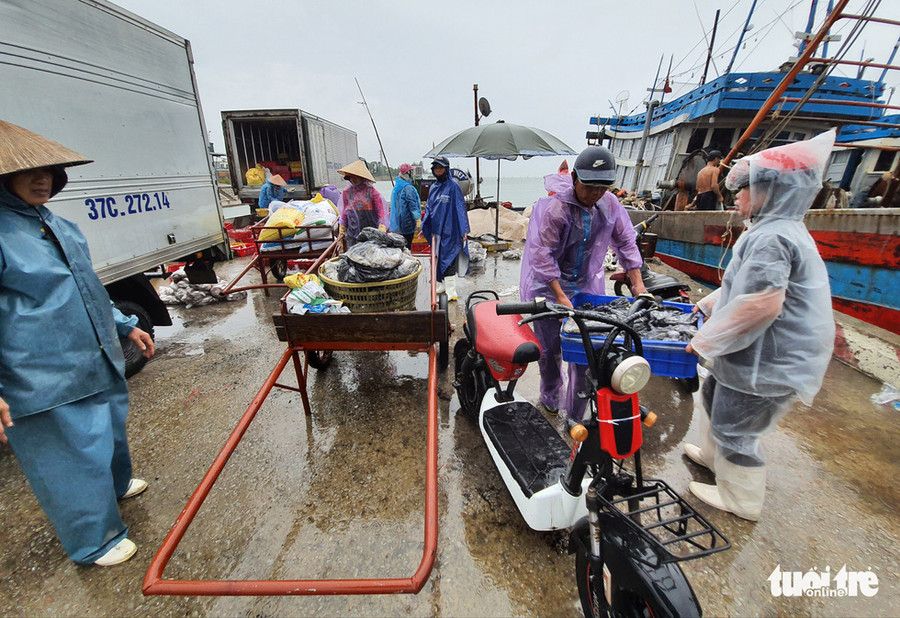 Cá thu được thương lái mua nhiều nhất - Ảnh: DOÃN HÒA