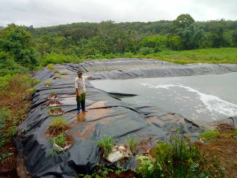 Nước thải chăn nuôi heo được anh Nguyễn Ngọc Khảng (làng O Grưng, xã Ia Ko, huyện Chư Sê) gom về bể chứa và phun chế phẩm để khử mùi hôi. Ảnh: Hồng Thương