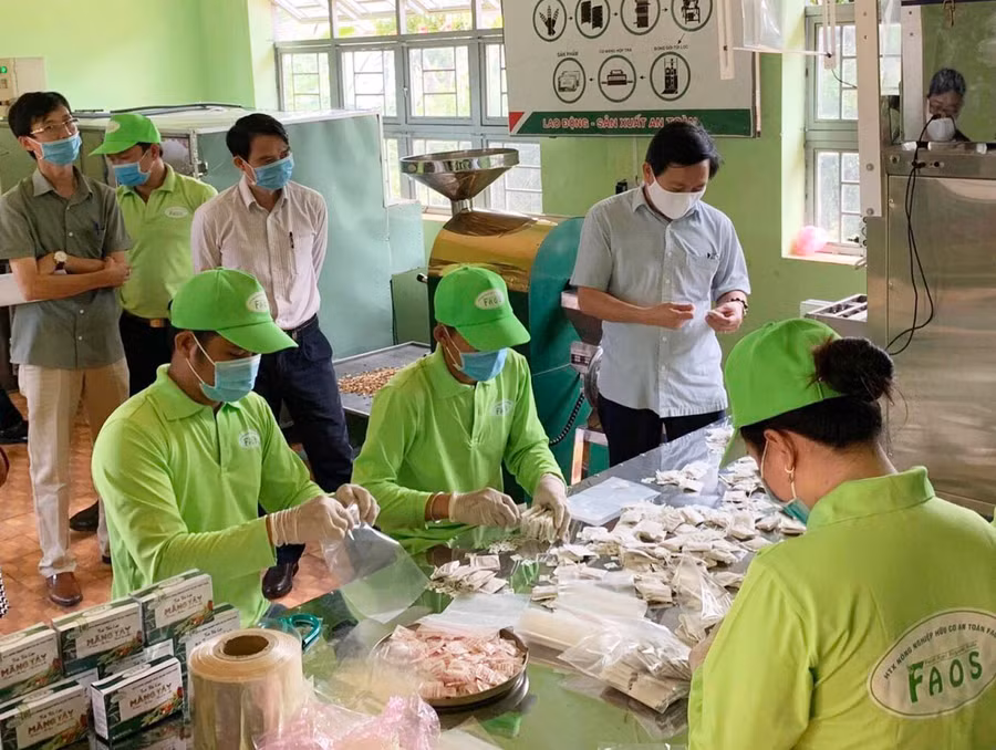  Ngành chức năng nghiệm thu đề án hỗ trợ máy móc thiết bị chế biến nông sản tại Hợp tác xã Nông nghiệp Hữu cơ an toàn FAOS (xã Ia Rong, huyện Chư Pưh). Ảnh: V.T