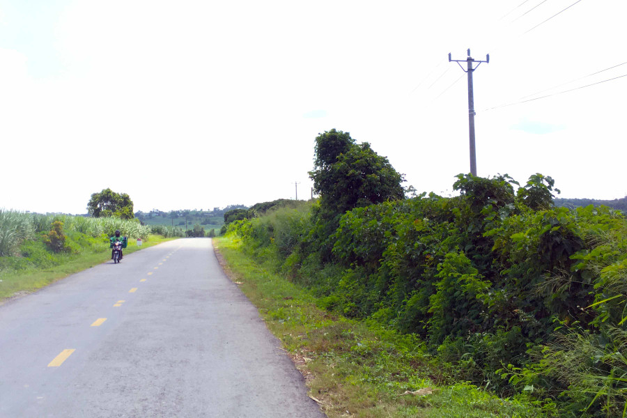 Khu vực đồi núi của các xã Yang Trung, Đak Pơ Pho và Chơ Long (huyện Kông Chro) trong tương lai sẽ hình thành các nhà máy điện máy điện gió. Ảnh: Ngọc Sang 