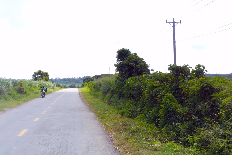 Khu vực đồi núi của các xã Yang Trung, Đak Pơ Pho và Chơ Long (huyện Kông Chro) trong tương lai sẽ hình thành các nhà máy điện máy điện gió. Ảnh: Ngọc Sang 