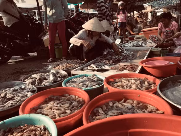 Hải sản Cần Giờ rất phong phú - Ảnh: LÊ THÚY