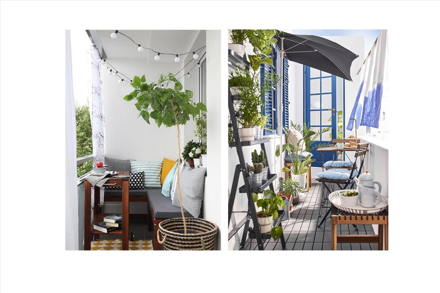 Đồ họa: Thiều Trang