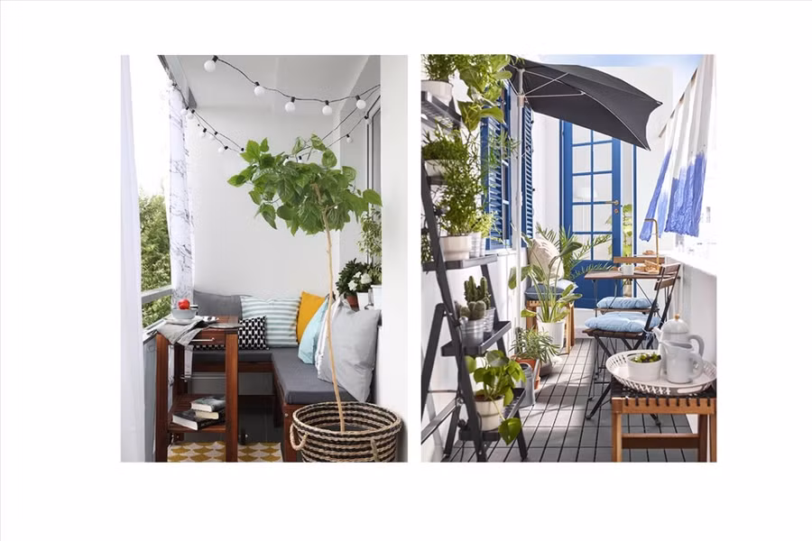 Đồ họa: Thiều Trang