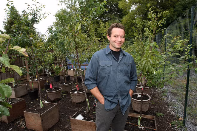 Sau khi mua lại một khu vườn thử nghiệm trồng các loại cây, giáo sư Sam Van Aken (Đại học Syracuse, Mỹ) đã dành thời gian nghiên cứu thời gian nở hoa, kết trái của các loại cây khác nhau và bắt đầu ghép một số mắt lên gốc ghép. Ảnh: Ideacity.