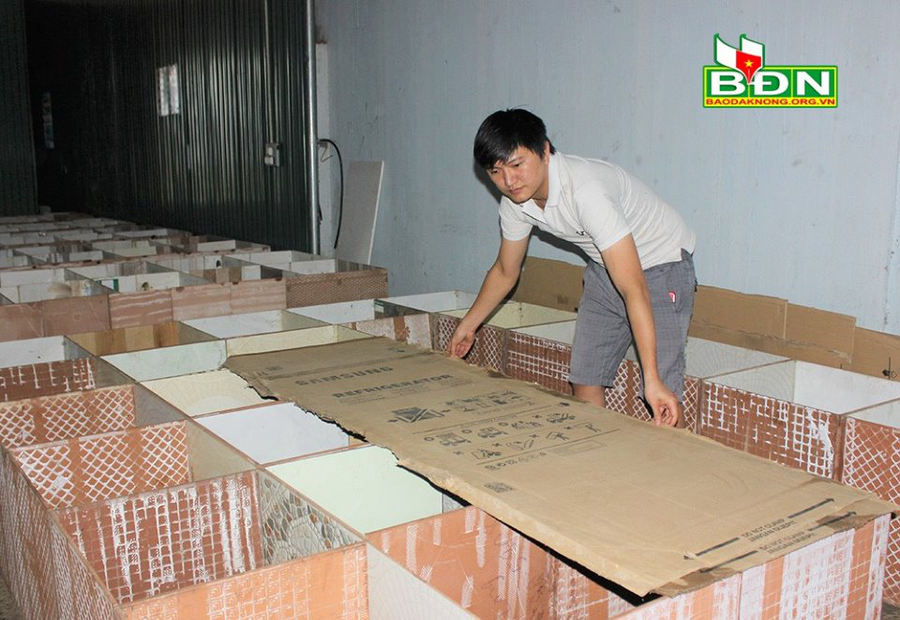 Anh Thành, ở khối 2, thị trấn Kiến Đức (huyện Đắk R’lấp, tỉnh Đắk Nông) che đậy tránh gió lùa vào chuồng dúi vào ban đêm.