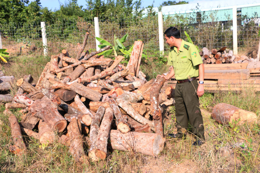 Mô hình sản xuất than củi từ vỏ trấu góp phần ngăn chặn tình trạng xâm hại rừng để lấy củi về đốt tại các lò sấy thuốc lá trên địa bàn các huyện phía Đông Nam. Ảnh: Tấn Sang