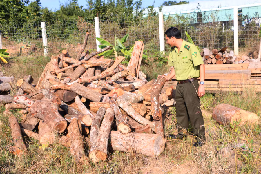 Mô hình sản xuất than củi từ vỏ trấu góp phần ngăn chặn tình trạng xâm hại rừng để lấy củi về đốt tại các lò sấy thuốc lá trên địa bàn các huyện phía Đông Nam. Ảnh: Tấn Sang