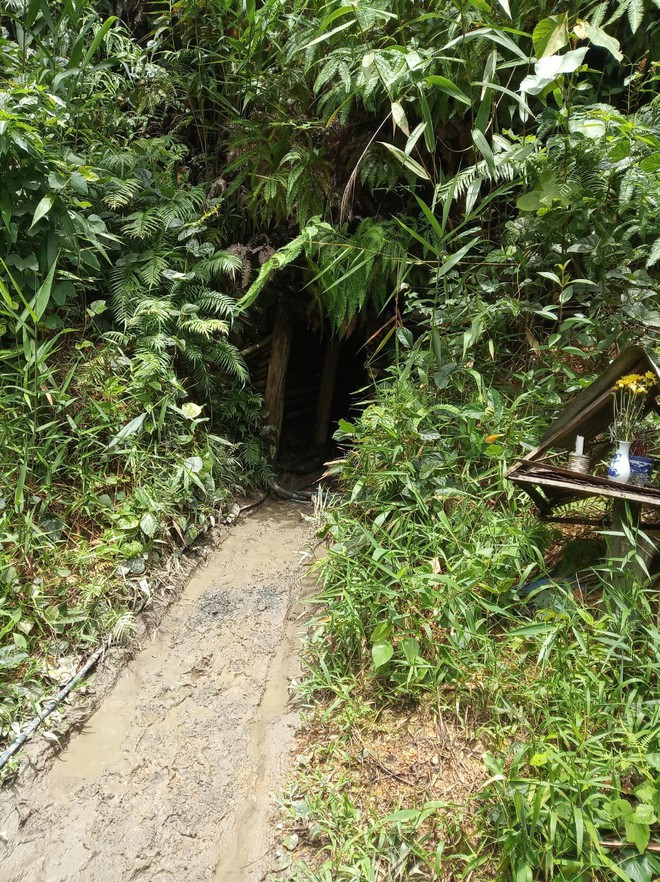 Lối vào hầm vàng ẢNH: PHAN BÁ