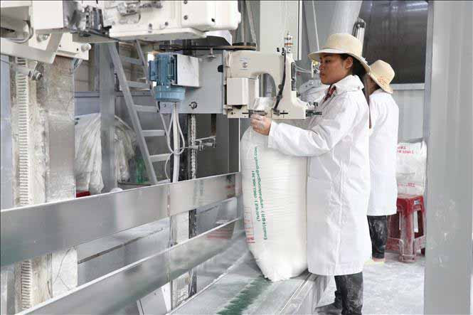 Công nhân sản xuất tại Nhà máy chế biến tinh bột sắn của Công ty TNHH Thương mại Chế biến Nông-Lâm sản Đường Vạn Phát (huyện Krông Pa). Ảnh: INTERNET