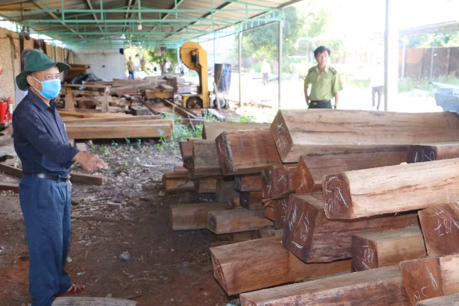 Đoàn giám sát đi khảo sát thực tế tại một cơ sở chế biến gỗ. Ảnh: Quang Tấn