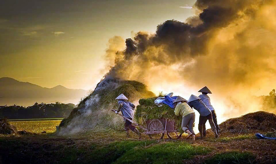 Khói chiều. Khói chiều.