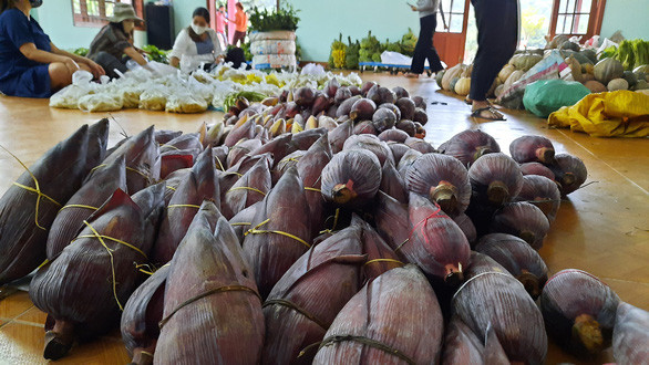 Những búp chuối yêu thương - Ảnh: TRẦN NGUYỄN VỸ