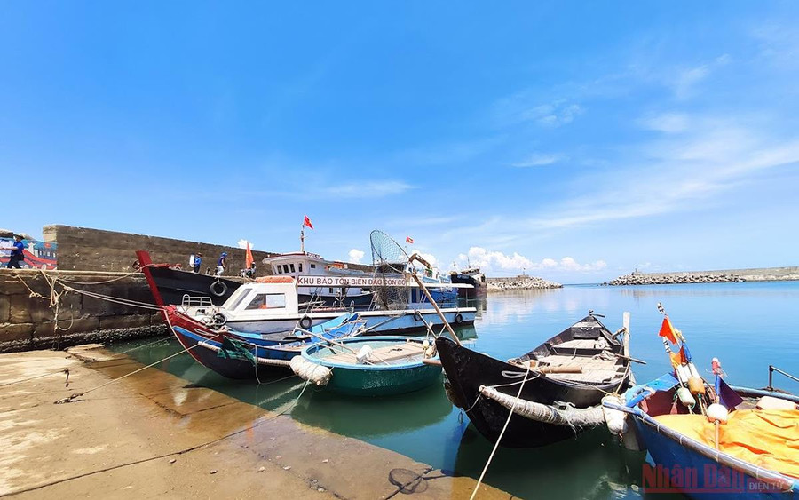 Tàu cao tốc đi thẳng ra đảo Cồn Cỏ với thời gian di chuyển khoảng 1 giờ 30 phút. Từ cảng Cửa Việt, đi ra đảo Cồn Cỏ vào 7 giờ 30 phút sáng thứ 2, 4, 6, 7 và trở về đất liền vào thứ 3, 5, 7, Chủ nhật hằng tuần. (Ảnh: MINH DUY)