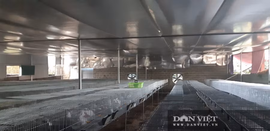 Để bầy thỏ sinh trưởng và phát triển tốt, anh Khương đã đầu tư xây dựng chuồng trại thông thoáng và hiện đại.