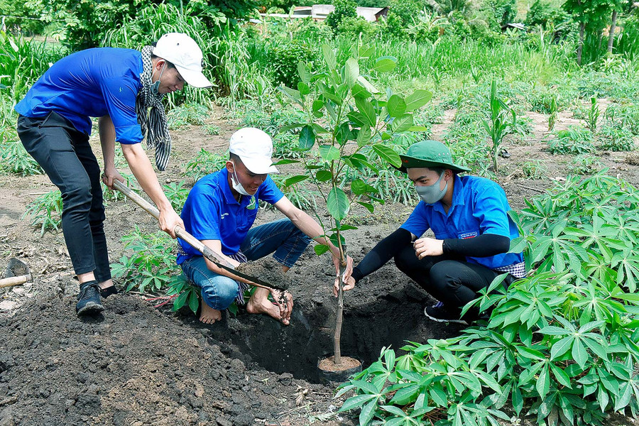 Sinh viên năm 4 Huỳnh Ngọc Đủ trường ĐHNL TP.HCM tham gia chương trình mùa hè xanh cho biết: Đây là lần thứ 2 em trở về xã Chư A Thai, Em thấy rất vui khi tham gia chương trình này nhằm để giúp đỡ bà con. Qua đó em sẽ chia sẽ những kiến thức và thực tế được học trong nhà trường nhằm giúp đỡ thanh niên khởi nghiệp từ mô hình cây ăn trái và chăn nuôi.