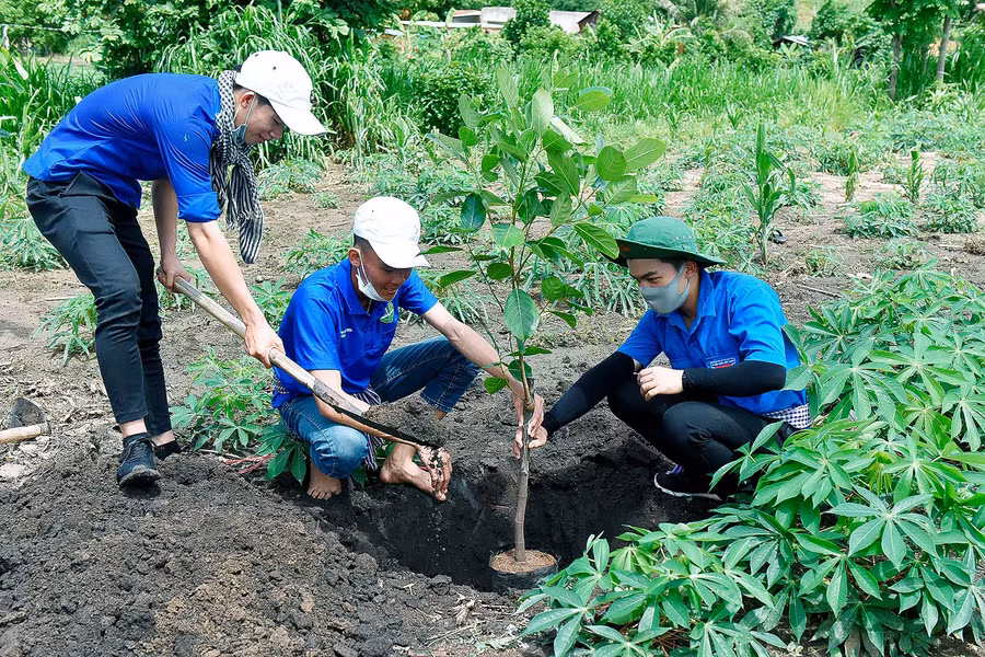 Sinh viên năm 4 Huỳnh Ngọc Đủ trường ĐHNL TP.HCM tham gia chương trình mùa hè xanh cho biết: Đây là lần thứ 2 em trở về xã Chư A Thai, Em thấy rất vui khi tham gia chương trình này nhằm để giúp đỡ bà con. Qua đó em sẽ chia sẽ những kiến thức và thực tế được học trong nhà trường nhằm giúp đỡ thanh niên khởi nghiệp từ mô hình cây ăn trái và chăn nuôi.