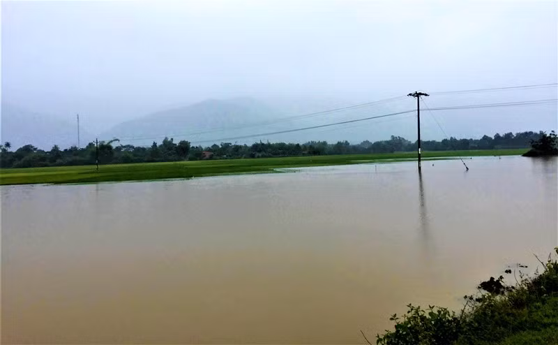  Nhiều diện tích cây trồng ở huyện Lắk bị nhấn chìm trong biển nước.