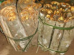 Vỏ quế (Ảnh minh họa, nguồn: Internet) Vỏ quế (Ảnh minh họa, nguồn: Internet)