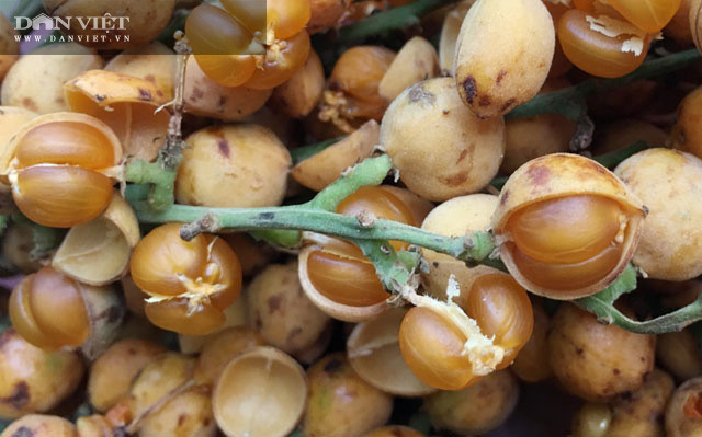 Phần ruột bên trong của trái nẻ.  Phần ruột bên trong của trái nẻ.