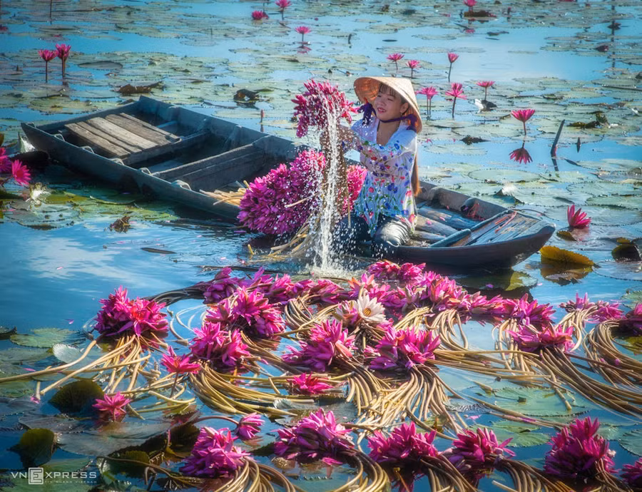 Nụ cười cô gái miền Tây lúc hái và rửa bông súng trên đồng lũ.