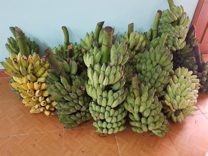  Những buồng chuối thơm ngon