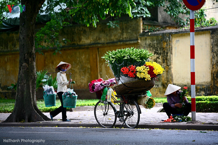 Giữa đường phố tấp nập người xe của dòng đời vội vã, nhiều khi những chiếc nón và những người lao động bình dị tạo nên hình ảnh hết sức bình yên và đầy cuốn hút.