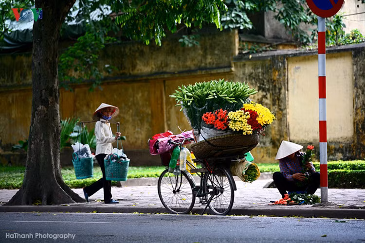 Giữa đường phố tấp nập người xe của dòng đời vội vã, nhiều khi những chiếc nón và những người lao động bình dị tạo nên hình ảnh hết sức bình yên và đầy cuốn hút.