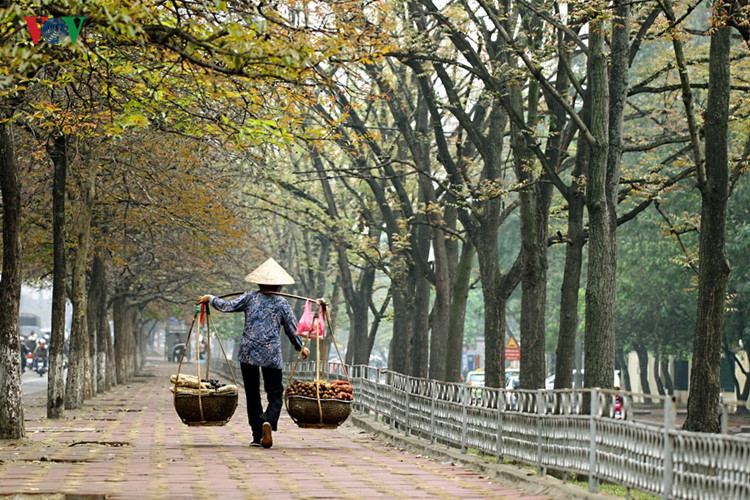 Và nón lá nhiều khi cũng tạo nên vẻ đẹp dung dị mà lãng mạn.