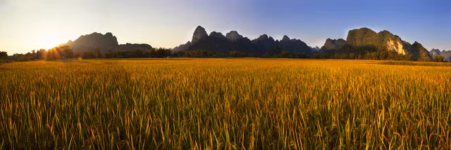 Bản Giốc được ví giống như Vịnh Hạ Long trên cạn, chỉ khác màu lúa vàng thay cho biển xanh