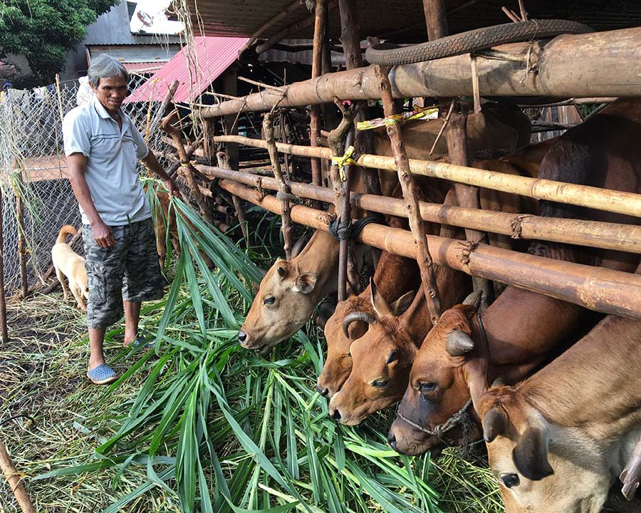Ông Amrim không chỉ làm kinh tế giỏi còn tích cực giúp đỡ dân làng. Ảnh: Phương Linh Ông Amrim không chỉ làm kinh tế giỏi còn tích cực giúp đỡ dân làng. Ảnh: Phương Linh