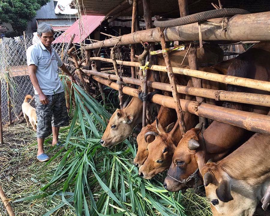  Ông Amrim không chỉ làm kinh tế giỏi còn tích cực giúp đỡ dân làng. Ảnh: Phương Linh
