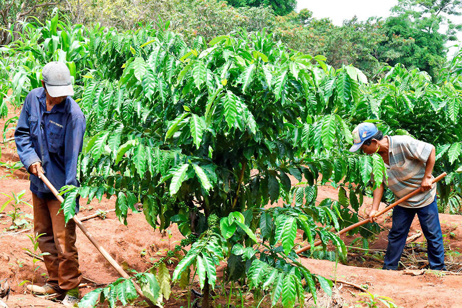 Ảnh: Đức Thụy