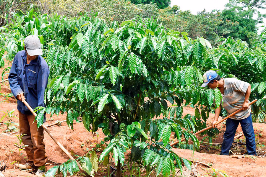 Ảnh: Đức Thụy