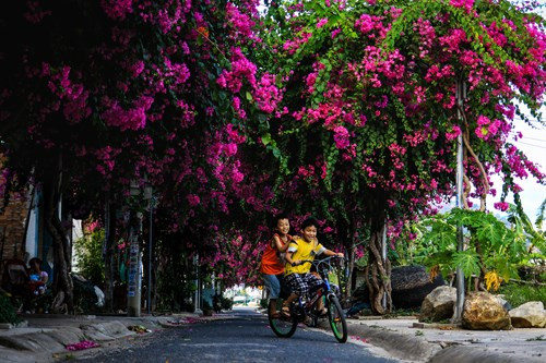 Đây cũng là nơi nô đùa của nhiều em nhỏ dưới bóng râm mát. Đây cũng là nơi nô đùa của nhiều em nhỏ dưới bóng râm mát.