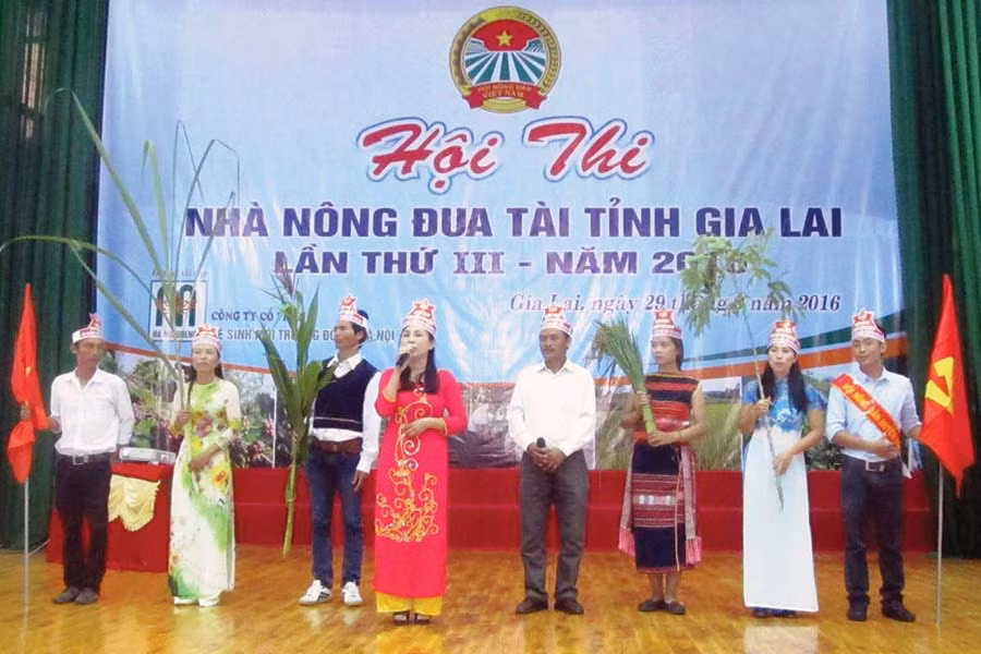  Phần thi của Hội Nông dân huyện Kbang để lại nhiều ấn tượng sâu sắc. Ảnh: H.T