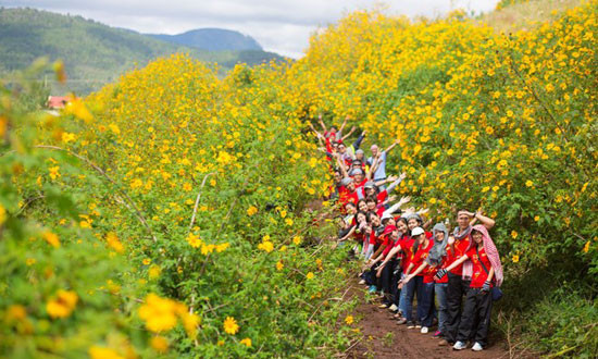 Khác với dã quỳ ở Đà Lạt, hoa dã quỳ Ba Vì có đặc điểm bông to, cây thấp vừa người, bông nọ nở gối bông kia và nở lâu như hoa cúc. Khác với dã quỳ ở Đà Lạt, hoa dã quỳ Ba Vì có đặc điểm bông to, cây thấp vừa người, bông nọ nở gối bông kia và nở lâu như hoa cúc.