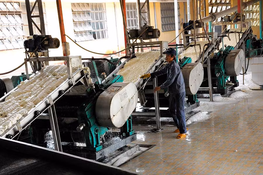 Dây chuyền chế biến mủ cao su của Công ty.