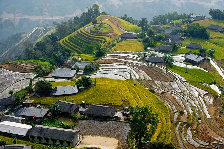 Ruộng bậc thang ở Hoàng Su Phì (Hà Giang)
