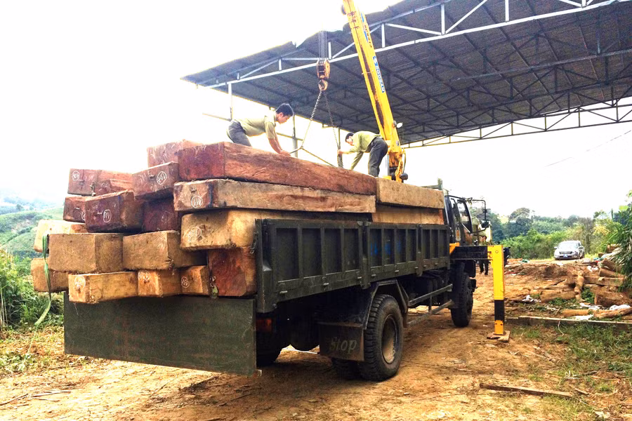 Kiểm lâm huyện Đak Glei vận chuyển số gỗ vô chủ bàn giao cho Công an huyện. Ảnh: H.T