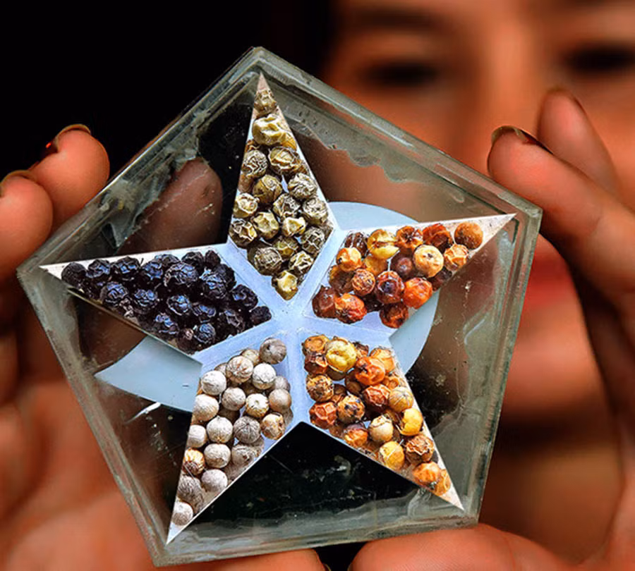  Ảnh: ĐỨC THỤY