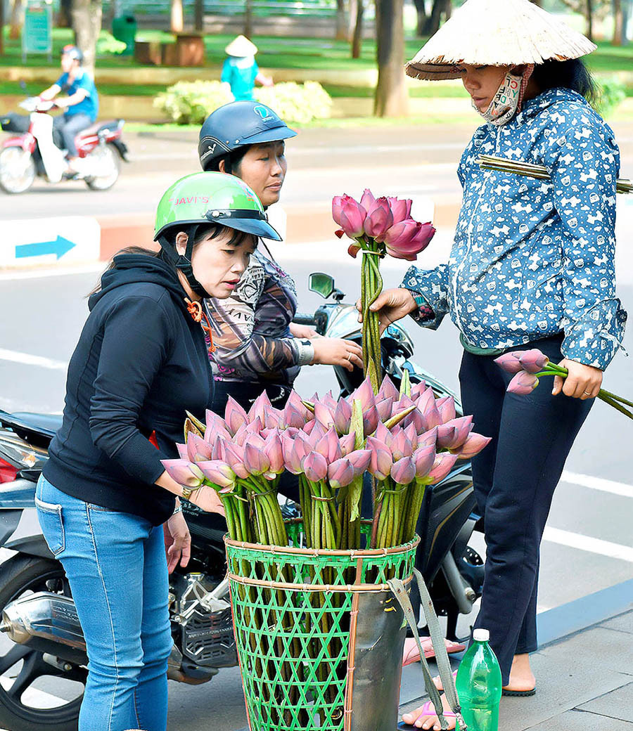 Những chiếc gùi “chở” hoa sen đã làm nên nét duyên dáng của phố phường.